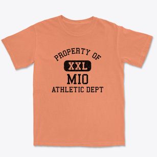 Mio Michigan Athletic Dept Premium Heavyweight T-shirt
