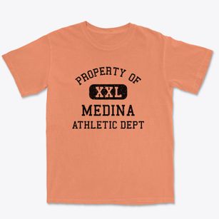 Medina Wisconsin Athletic Dept Premium Heavyweight T-shirt