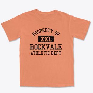 Rockvale Tennessee Athletic Dept Premium Heavyweight T-shirt