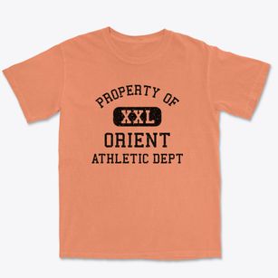 Orient New York Athletic Dept Premium Heavyweight T-shirt