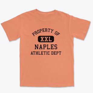Naples Florida Athletic Dept Premium Heavyweight T-shirt