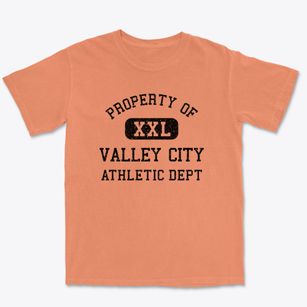 Valley City Ohio Athletic Dept Premium Heavyweight T-shirt