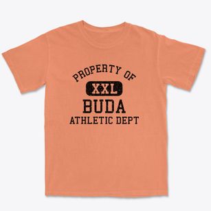 Buda Illinois Athletic Dept Premium Heavyweight T-shirt