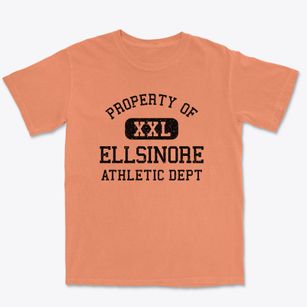 Ellsinore Missouri Athletic Dept Premium Heavyweight T-shirt