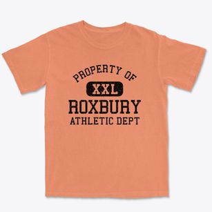 Roxbury Maine Athletic Dept Premium Heavyweight T-shirt