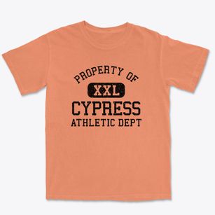 Cypress Illinois Athletic Dept Premium Heavyweight T-shirt