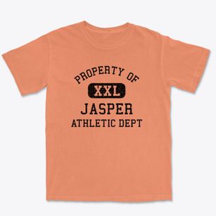Jasper Alabama Athletic Dept Premium Heavyweight T-shirt