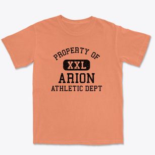Arion Iowa Athletic Dept Premium Heavyweight T-shirt