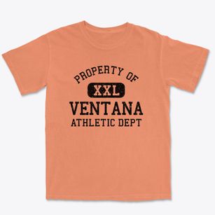 Ventana Arizona Athletic Dept Premium Heavyweight T-shirt