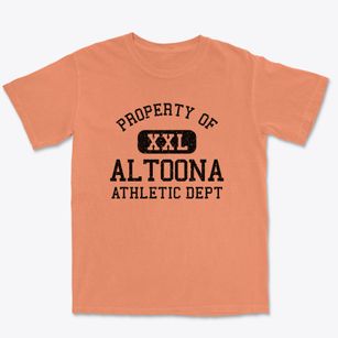 Altoona Florida Athletic Dept Premium Heavyweight T-shirt