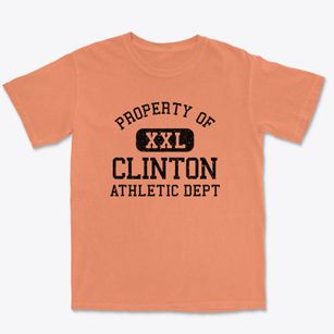 Clinton North Carolina Athletic Dept Premium Heavyweight T-shirt