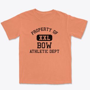 Bow New Hampshire Athletic Dept Premium Heavyweight T-shirt