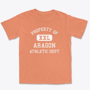 Aragon Georgia Athletic Dept Premium Heavyweight T-shirt