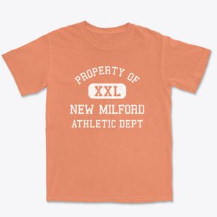 New Milford Connecticut Athletic Dept Premium Heavyweight T-shirt