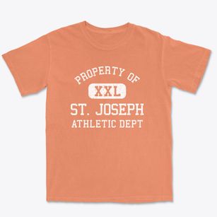 St. Joseph Tennessee Athletic Dept Premium Heavyweight T-shirt