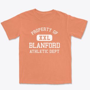 Blanford Indiana Athletic Dept Premium Heavyweight T-shirt