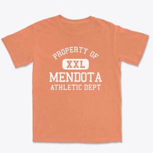 Mendota Minnesota Athletic Dept Premium Heavyweight T-shirt