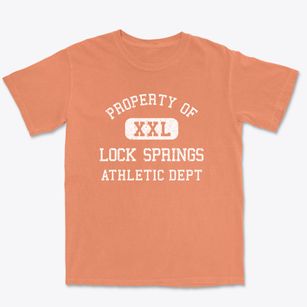 Lock Springs Missouri Athletic Dept Premium Heavyweight T-shirt