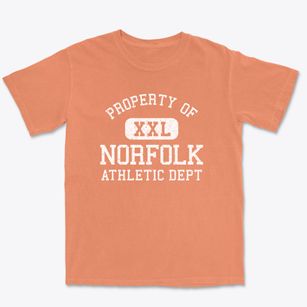 Norfolk Virginia Athletic Dept Premium Heavyweight T-shirt