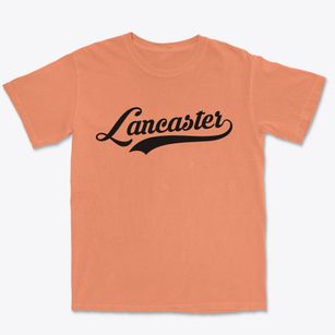 Lancaster Pennsylvania Vintage Team Premium Heavyweight T-shirt