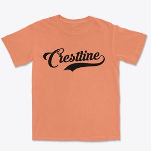 Crestline Ohio Vintage Team Premium Heavyweight T-shirt