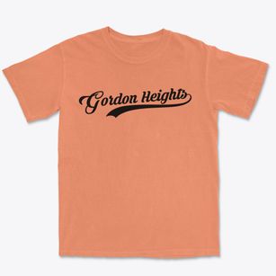 Gordon Heights New York Vintage Team Premium Heavyweight T-shirt