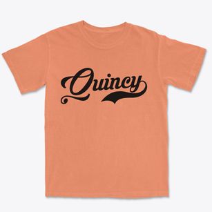 Quincy Illinois Vintage Team Premium Heavyweight T-shirt