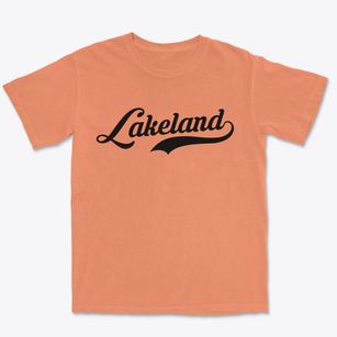 Lakeland New York Vintage Team Premium Heavyweight T-shirt