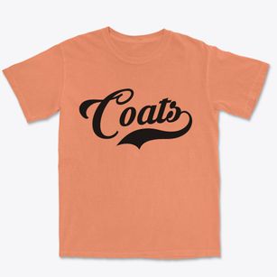 Coats North Carolina Vintage Team Premium Heavyweight T-shirt