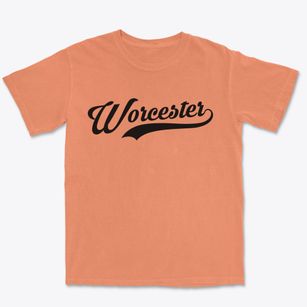 Worcester New York Vintage Team Premium Heavyweight T-shirt