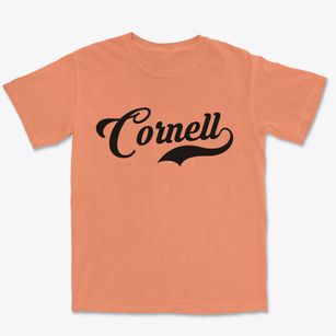Cornell Wisconsin Vintage Team Premium Heavyweight T-shirt