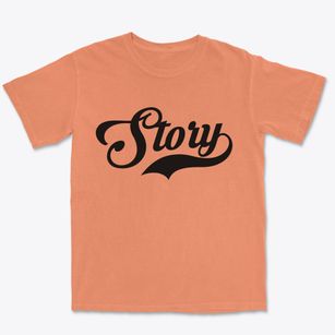 Story Wyoming Vintage Team Premium Heavyweight T-shirt
