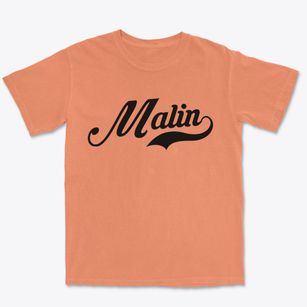Malin Oregon Vintage Team Premium Heavyweight T-shirt