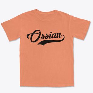 Ossian New York Vintage Team Premium Heavyweight T-shirt