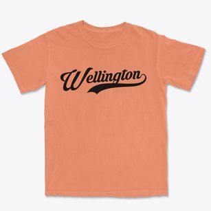 Wellington Kentucky Vintage Team Premium Heavyweight T-shirt