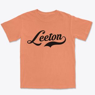 Leeton Missouri Vintage Team Premium Heavyweight T-shirt