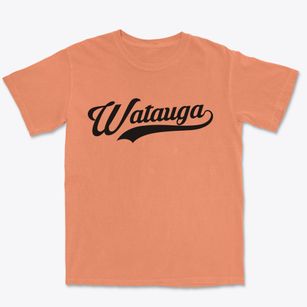 Watauga Tennessee Vintage Team Premium Heavyweight T-shirt