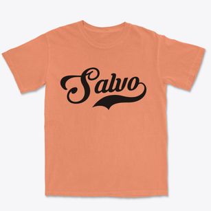 Salvo North Carolina Vintage Team Premium Heavyweight T-shirt
