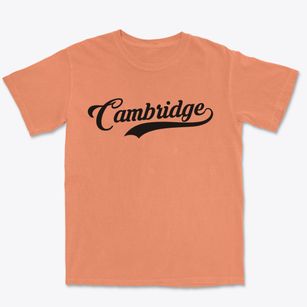 Cambridge Kentucky Vintage Team Premium Heavyweight T-shirt