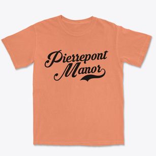 Pierrepont Manor New York Vintage Team Premium Heavyweight T-shirt