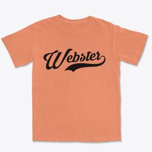 Webster Iowa Vintage Team Premium Heavyweight T-shirt