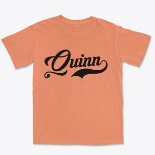 Quinn South Dakota Vintage Team Premium Heavyweight T-shirt
