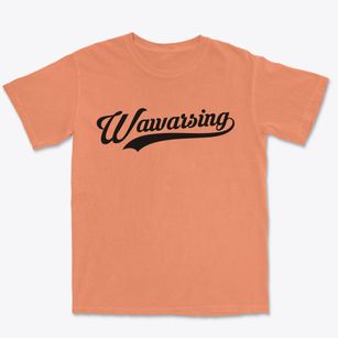 Wawarsing New York Vintage Team Premium Heavyweight T-shirt
