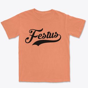 Festus Missouri Vintage Team Premium Heavyweight T-shirt