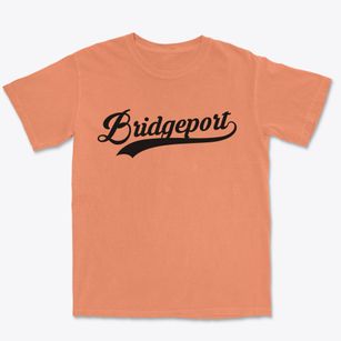 Bridgeport West Virginia Vintage Team Premium Heavyweight T-shirt