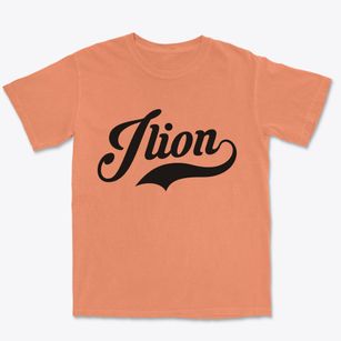 Ilion New York Vintage Team Premium Heavyweight T-shirt