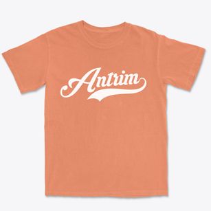 Antrim New Hampshire Vintage Team Premium Heavyweight T-shirt