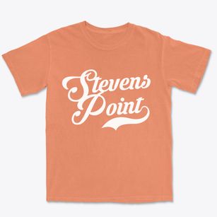 Stevens Point Wisconsin Vintage Team Premium Heavyweight T-shirt