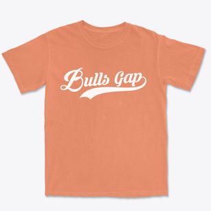 Bulls Gap Tennessee Vintage Team Premium Heavyweight T-shirt