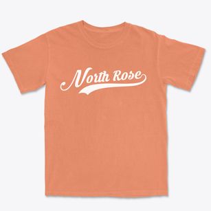 North Rose New York Vintage Team Premium Heavyweight T-shirt